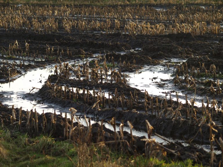 Landwirtschaftsminister Albrecht in Rendsburg:  „Bauern-Bashing ist ein No-Go! Offener Dialog gesucht!